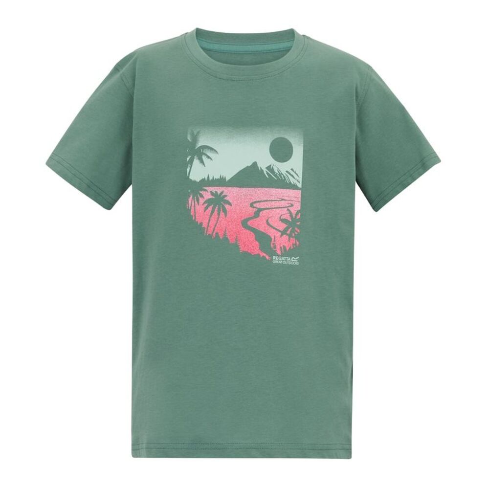 Regatta Childrens/Kids Bosley Artwork T-Shirt / Ivy Moss